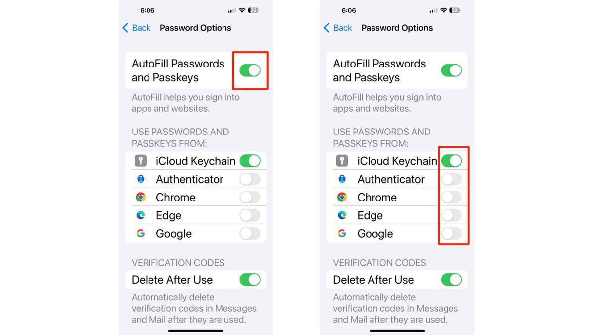 iPhone autofill 4