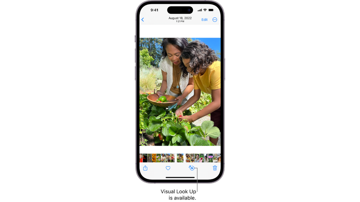 visual lookup