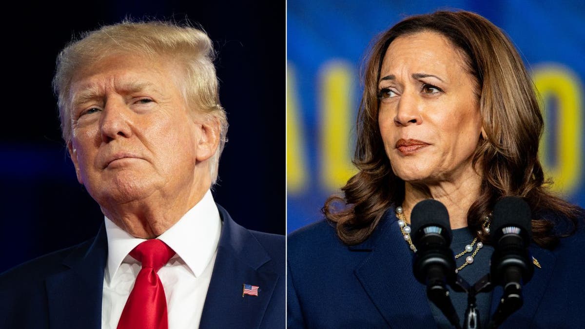 TRUMP-HARRIS